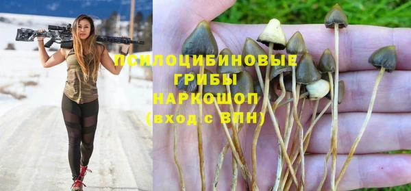прущие крисы Балабаново