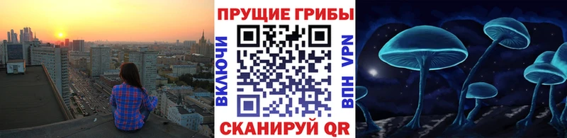 Галлюциногенные грибы мухоморы  omg tor  Себеж 